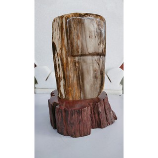 Gỗ Hoá Thạch 💯 tự nhiên .-KL: 5,2kg -Cao: 30cm -Rộng:20 cm, đôn đế gỗ lõi Hương, Giá gốc tại xưởng/HT44