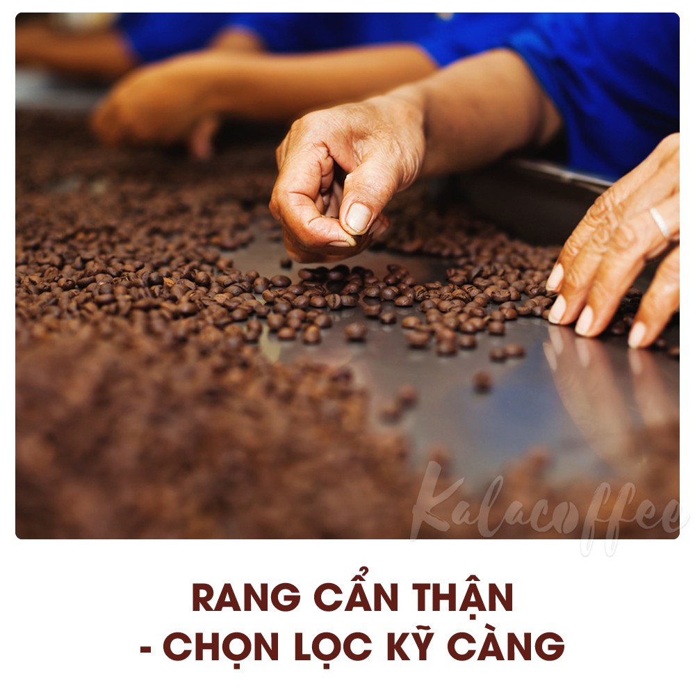 1Kg Cà phê Culi đặc biệt Kalacoffee Nguyên Chất 100%, Cực Mạnh, Thơm ngon, Đậm đà, hậu ngọt dành cho khách gu Đậm