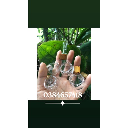 cóng ăn lồng chim khuyên thủy tinh