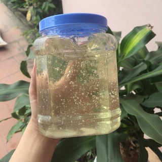 Combo mạch nha cho khách