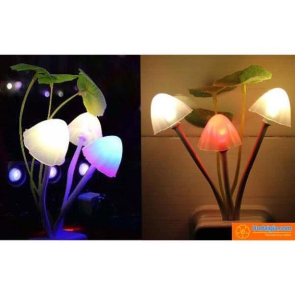 Đèn Ngủ Cắm Điện Mini, Cảm Ứng Ánh Sáng Tự Động Ánh Sáng Dịu