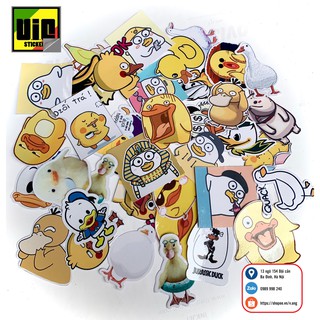 Hình dán con vịt DECAL CẮT SẴN dán mũ bảo hiểm, vali, máy tính,xe, tủ lạnh, nhà....