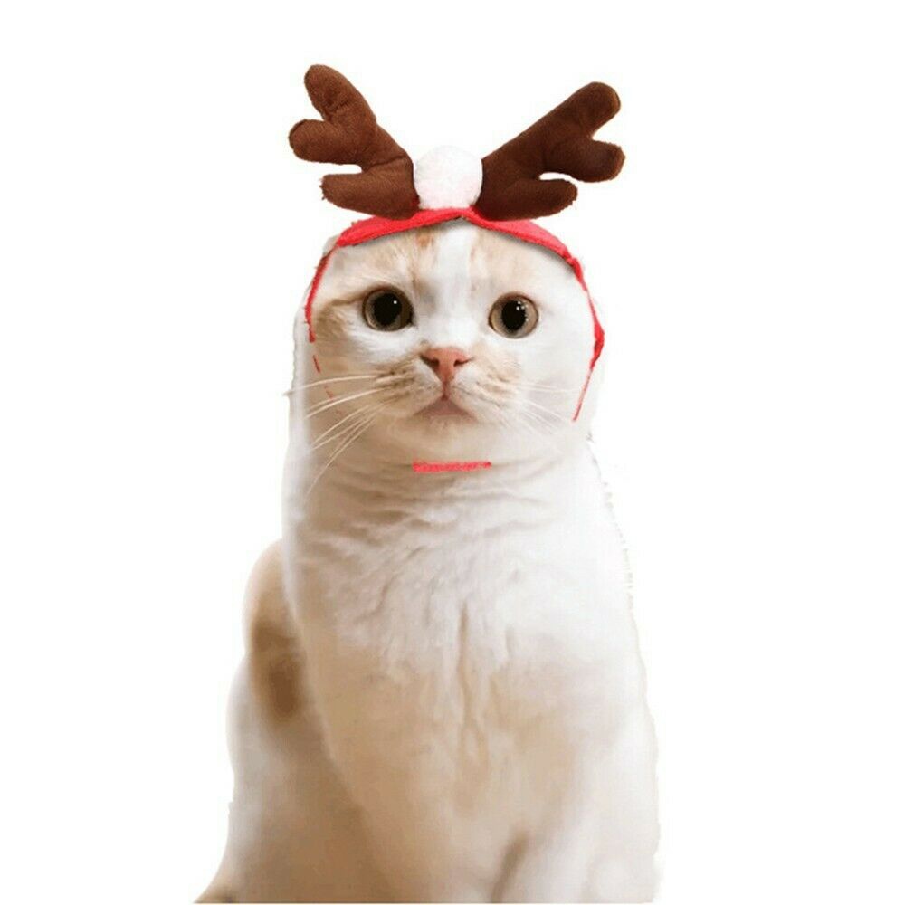 Bộ Đồ Hóa Trang Ông Già Noel Cho Thú Cưng