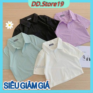 Áo thun cổ polo croptop form body