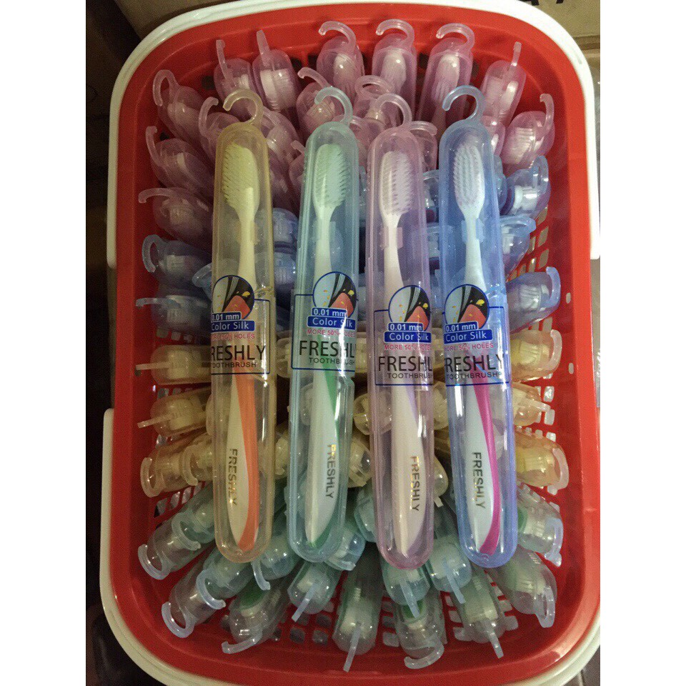 Bàn chải Thái Lan – Du Lịch