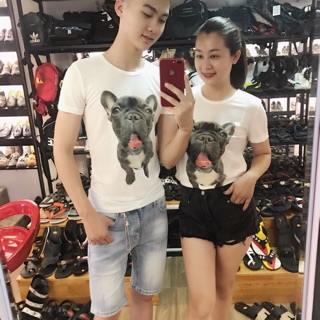 Phông chó bán đôi bán lẻ