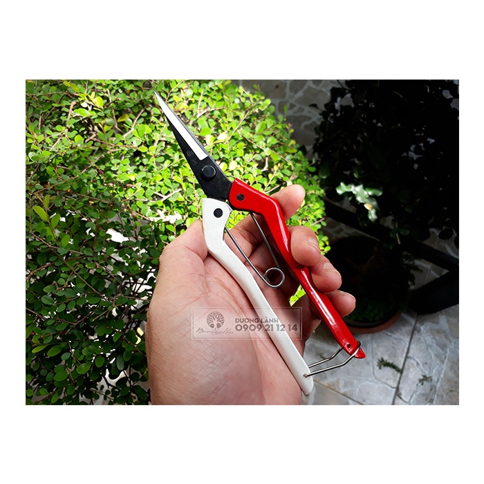 Kéo tỉa dăm, kéo cán thép TAIWAN