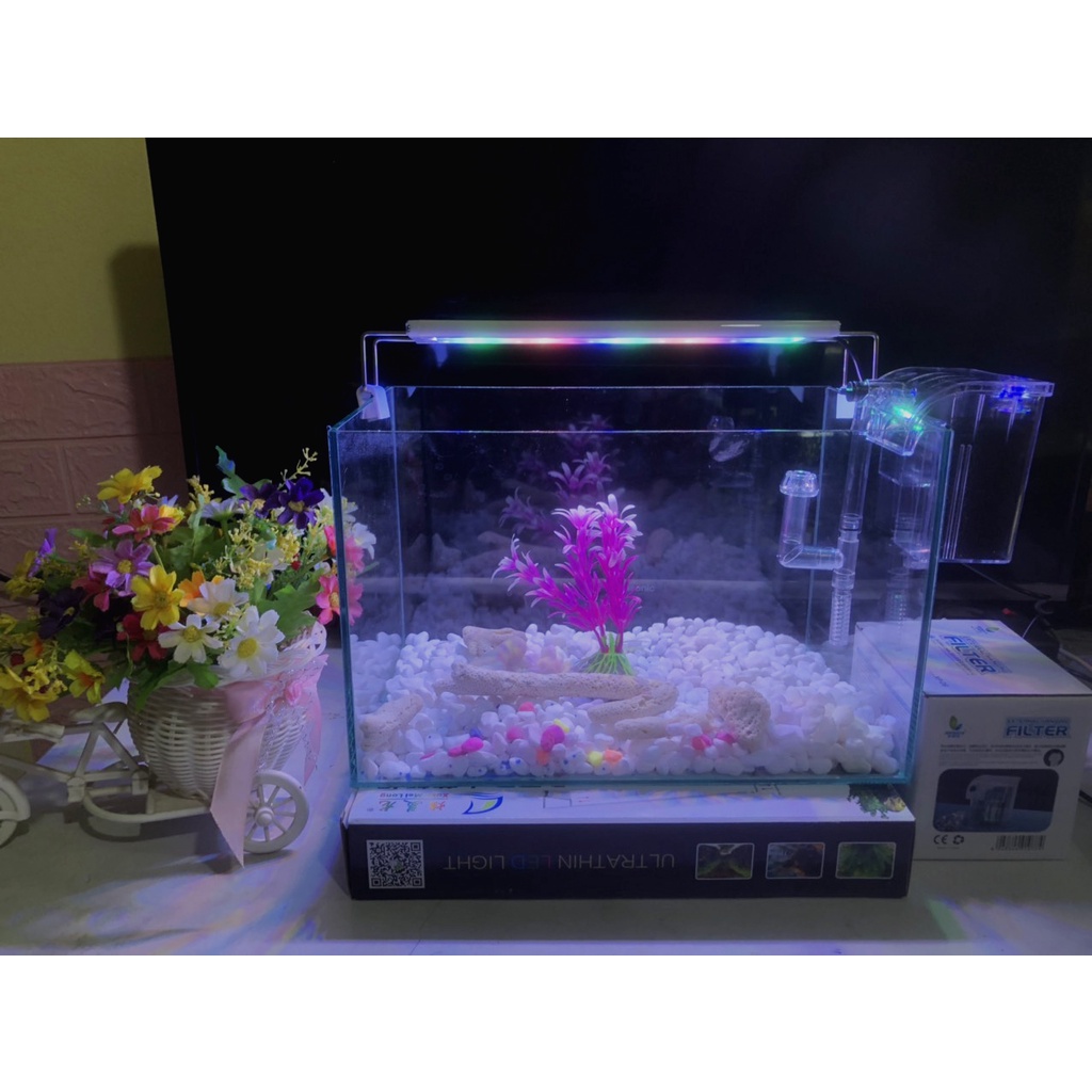 Hồ cá, bể cá cảnh thủy sinh full combo 6 món phụ Kiện D38 R20 H20