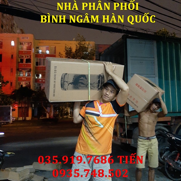 Bình ngâm rượu thủy tinh Hàn Quốc 0.8L NO.92| Mẫu mới