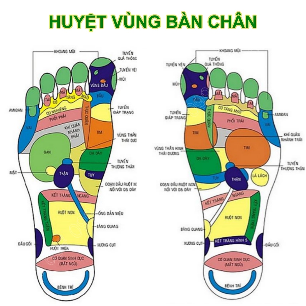 Miếng dán chân ngải cứu  cao dán thải độc bàn chân,ngủ ngon đẹp da,thúc đẩy lưu thông máu,giảm mệt mỏi