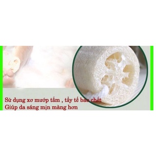 Xà bông xơ mướp