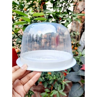5 chiếc hộp nhựa đựng bánh H25
