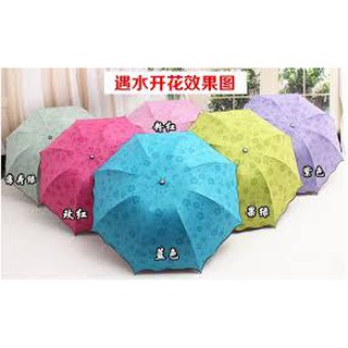 ô hoa nở (Gặp nước sẽ nở hoa hàng loại 1) / ô nở hoa