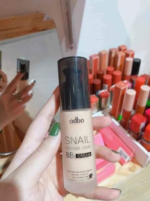 Nền BB SNAIL