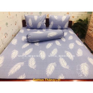 Bộ Drap + Áo Gối Cotton Thắng Lợi ( xám lông vũ ) đủ kích thước