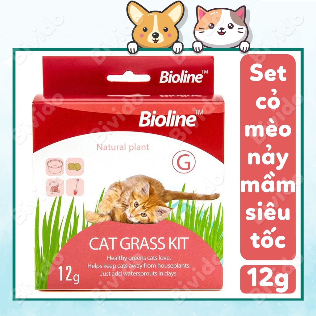 Bộ kit trồng cỏ mèo Bioline Cat Grass Kit nảy mầm siêu tốc - Bivido