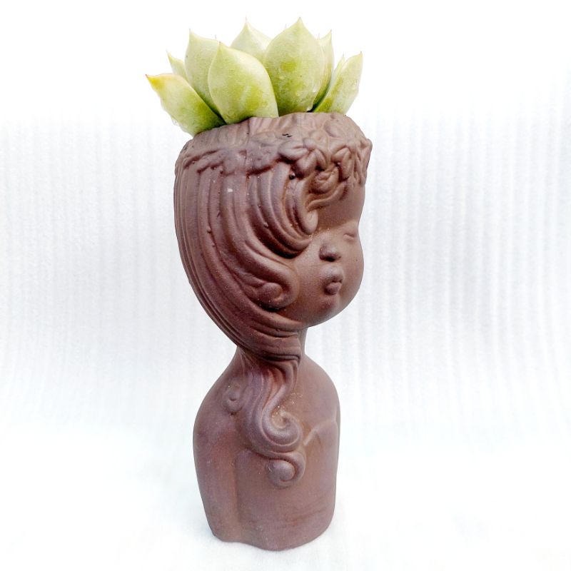 Chậu đất nung, Chậu sen đá - Cô gái tóc mây, đường kính miệng 7cm, chiều cao 20cm