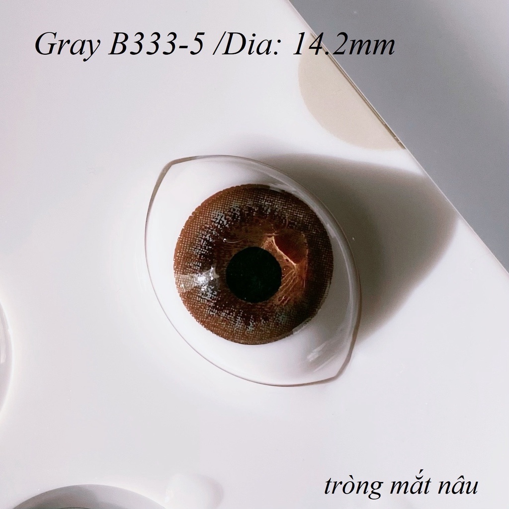 Lens Gray B333-5 [EXP 9/2023] (kính áp tròng Sona Hàn Quốc)