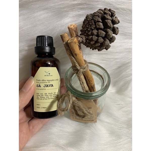 Tinh dầu thơm phòng, đuổi muỗi, tinh dầu sả nguyên chất SẢ JAVA -Bộ khuếch tán gỗ thông 50ml ''Nhà của Thời Thanh Xuân''