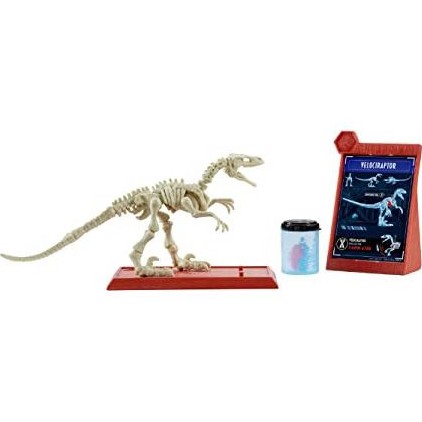 Đồ chơi  giáo dục STEM -  mô hình hóa thạch khủng long Mattel Jurassic World FTF03 - Toyshouse