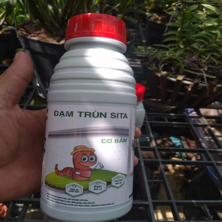 dung dịch trùn quế 500ml