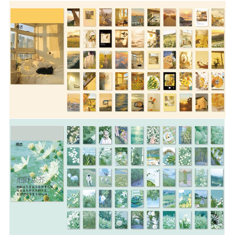 Bộ 50 miếng dán hình hoa 6 Projects phong cách lãng mạn trang trí sổ tay