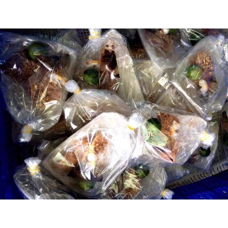 Bánh Tráng Tắc Tây Ninh TPN 247 | BigBuy360 - bigbuy360.vn