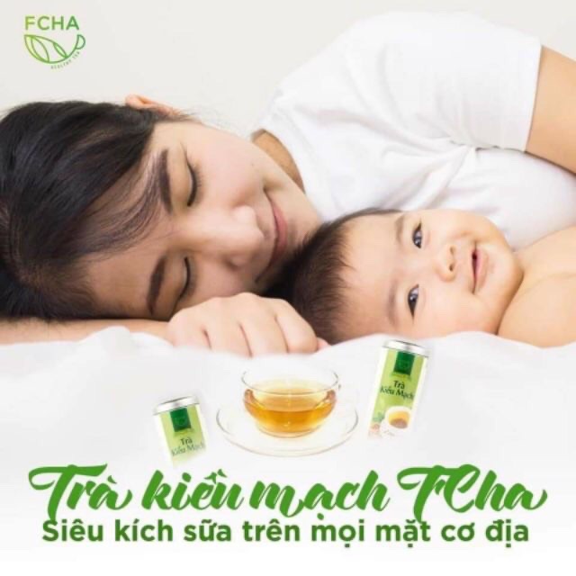 Trà Kiều Mạch Fcha💥Free Ship💥Giảm Cân An Toàn Cho Sức Khoẻ | BigBuy360 - bigbuy360.vn