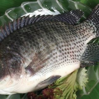 Khô cá phi mẹ làm