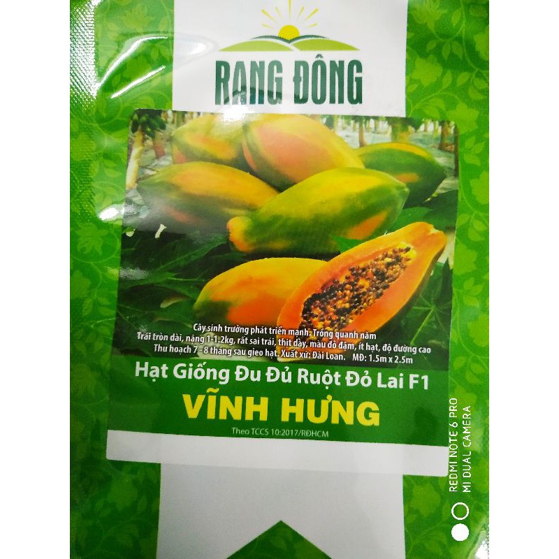 Hạt giống Đu đủ ruột đỏ Vĩnh Hưng 5 hạt❤️FREESHIP XTRA❤️