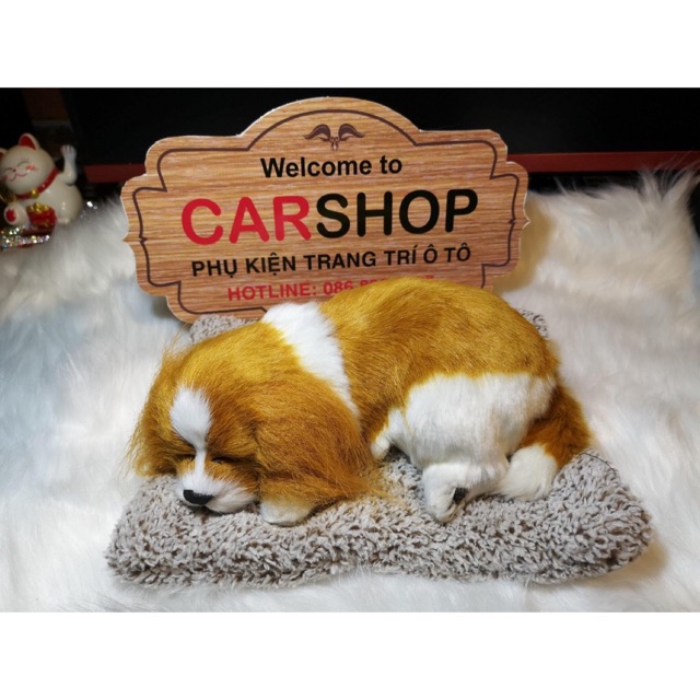 CAR SHOP.TN