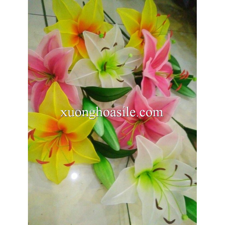 NHỊ HOA LY