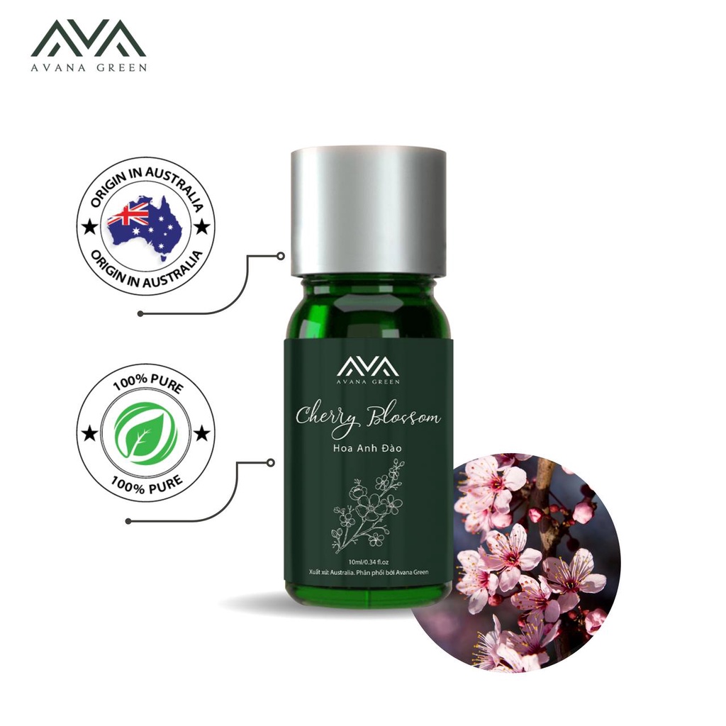 Tinh Dầu Hoa Anh Đào Cherry Blossom, Hàng Nhập Khẩu Cao Cấp Chính Hãng, Thiên Nhiên Nguyên Chất, 10ml