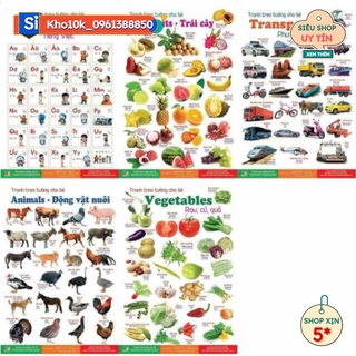Bảng chữ cái tranh treo tường giá sỉ