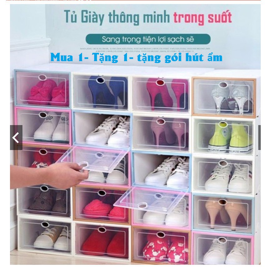 Hộp để giày nhựa cứng trong suốt size nam