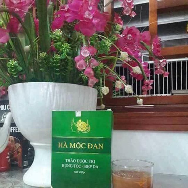 Hà mộc Đan