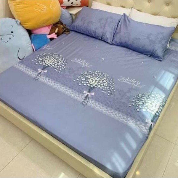 Ga gối poly gồm 1 ga chun và 2 vỏ gối kích thước 45x65cm