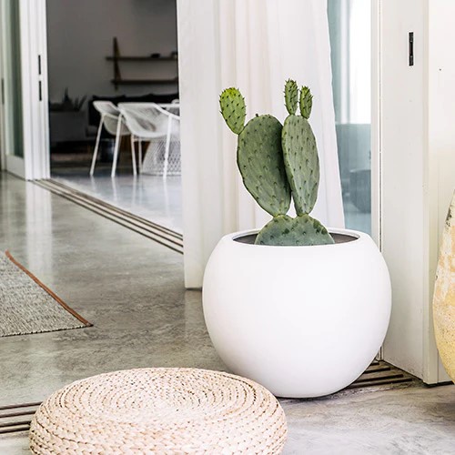 Chậu Trồng Cây Xi Măng DT007