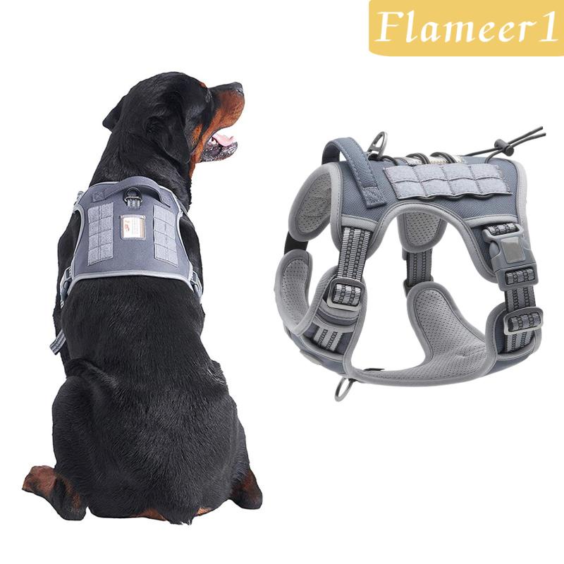 [Flameameer1] Áo Vest Phản Quang An Toàn Dành Cho Chó Cỡ Nhỏ / Vừa / Lớn