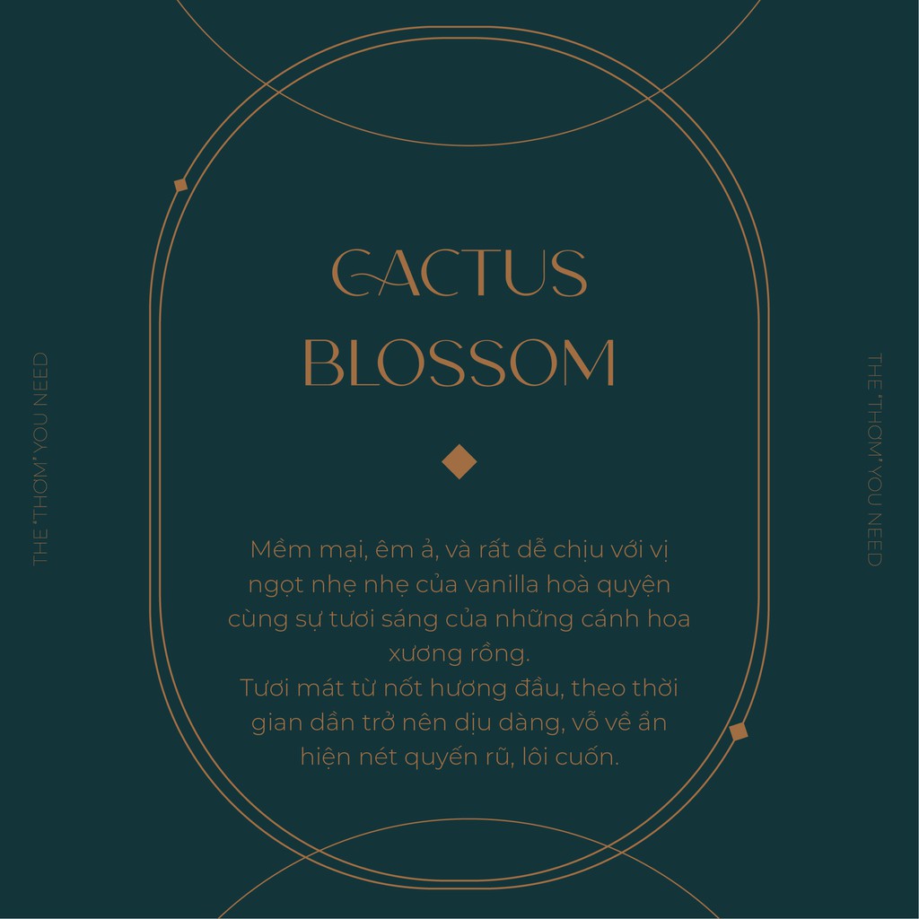 CACTUS BLOSSOM | Sản Phẩm Tắm Dưỡng Xịt Thơm Toàn Thân Bath & Body Works