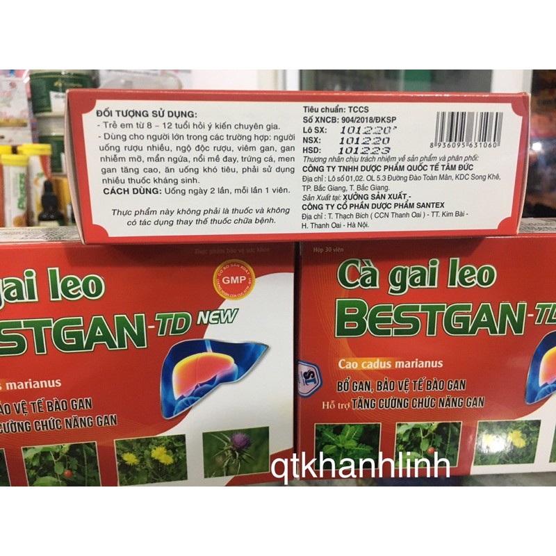 ✅ Cà gai leo Bestgan TD, giải độc gan, hạ men gan, tăng cường chức năng gan.