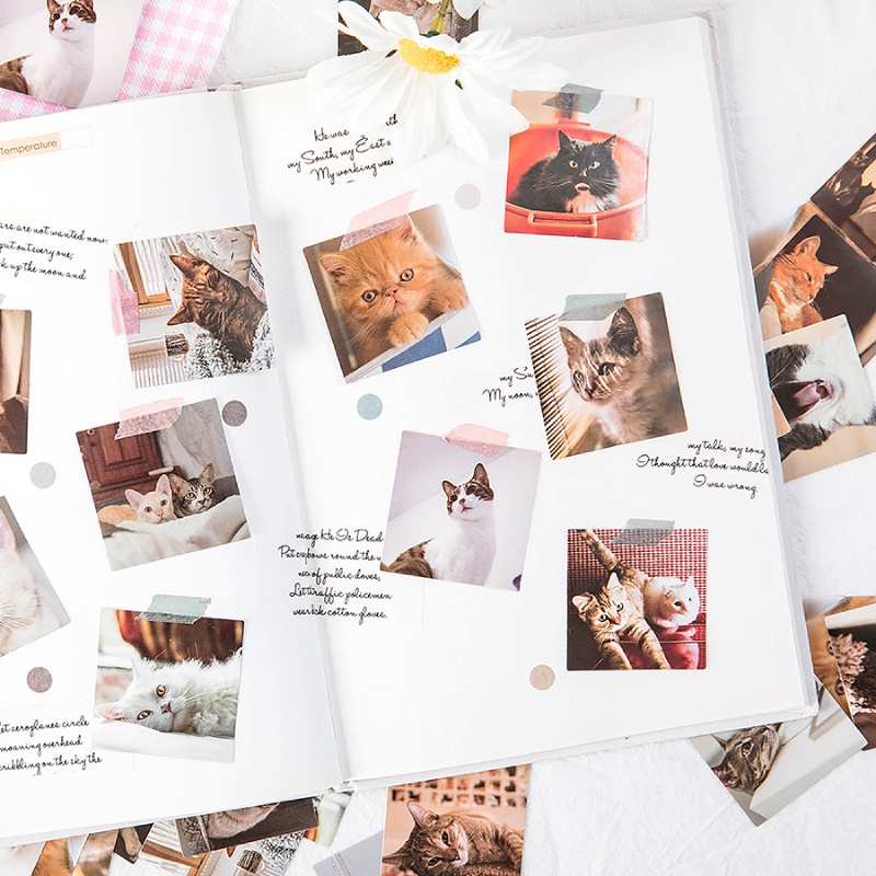 Set 46 Miếng Dán Hình Mèo Dễ Thương Dùng Trang Trí Album Ảnh/ Sổ Tay DIY