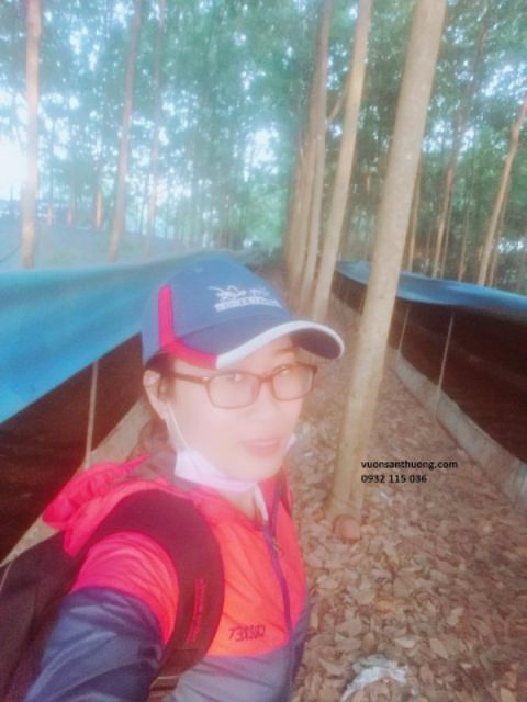 Phân Trùn Quế Hữu Cơ  Cung Cấp Dinh Dưỡng Cho Cây Rau, Dùng Trộn Đất Trồng Rau