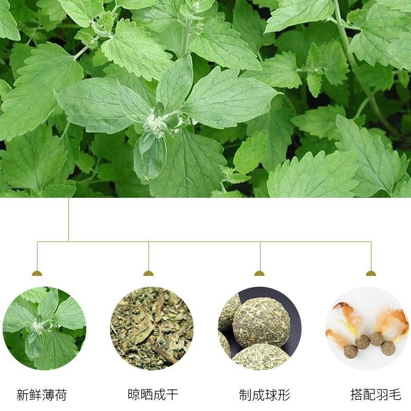 Đồ Chơi Catnip Cho Mèo