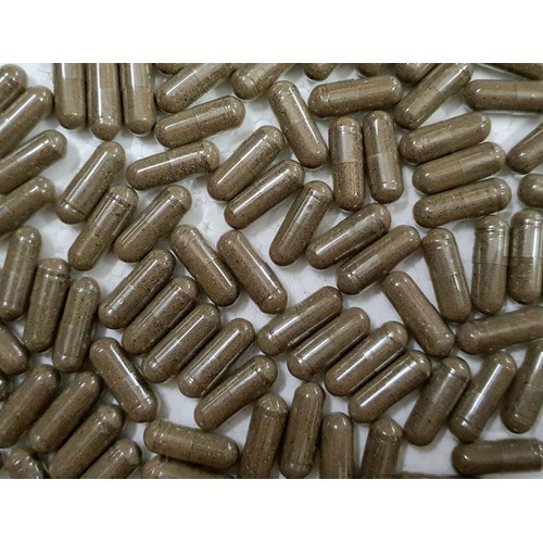 VIÊN ARTEMIA NƯỚC NGỌT THÁI LAN