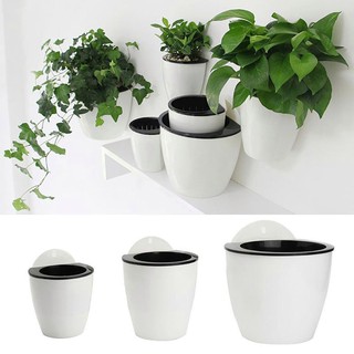 Chậu nhựa treo tường tự tưới nước