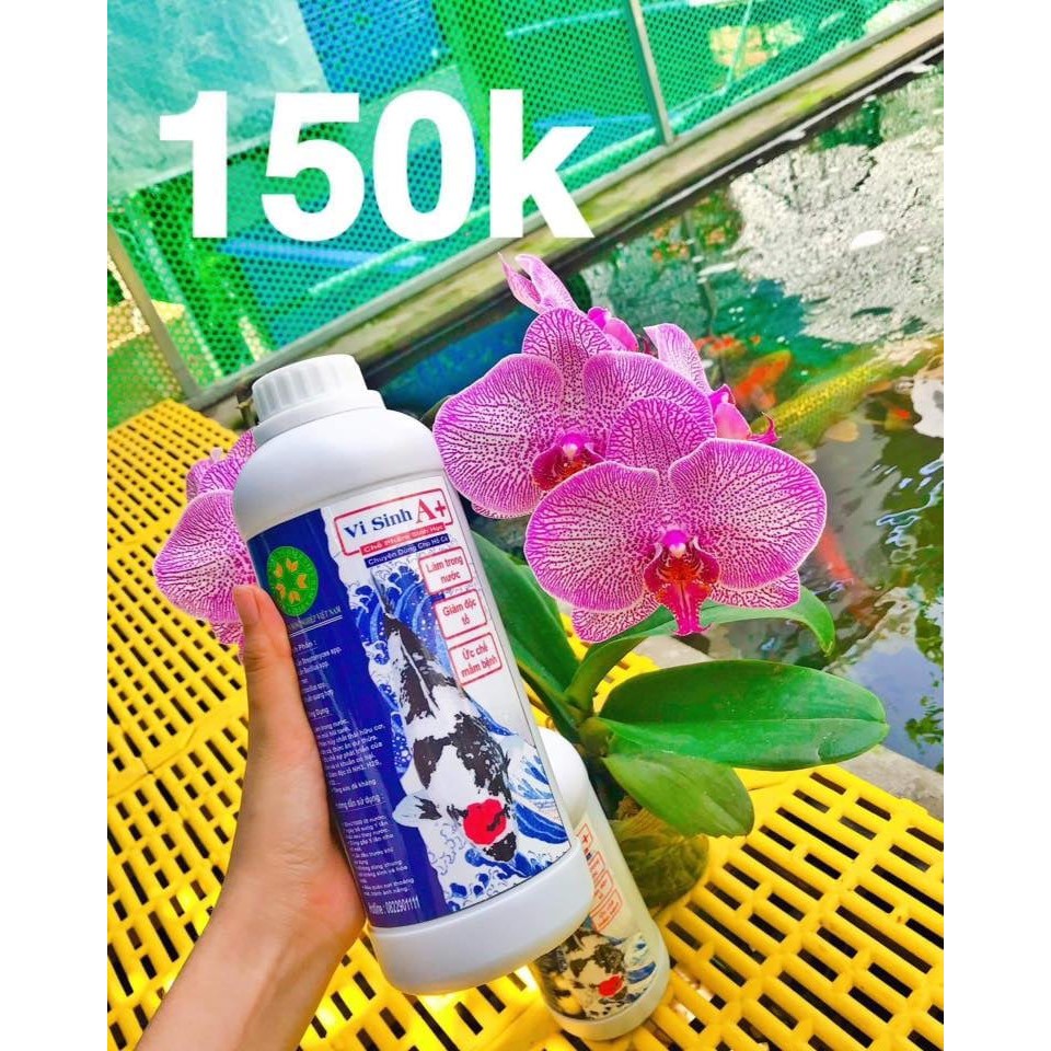 Chế phẩm vi sinh A+ 1lít