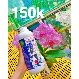 Chế phẩm vi sinh A+ 1lít