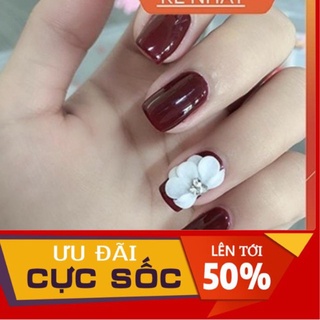 hoa bột nail -6k/1b.