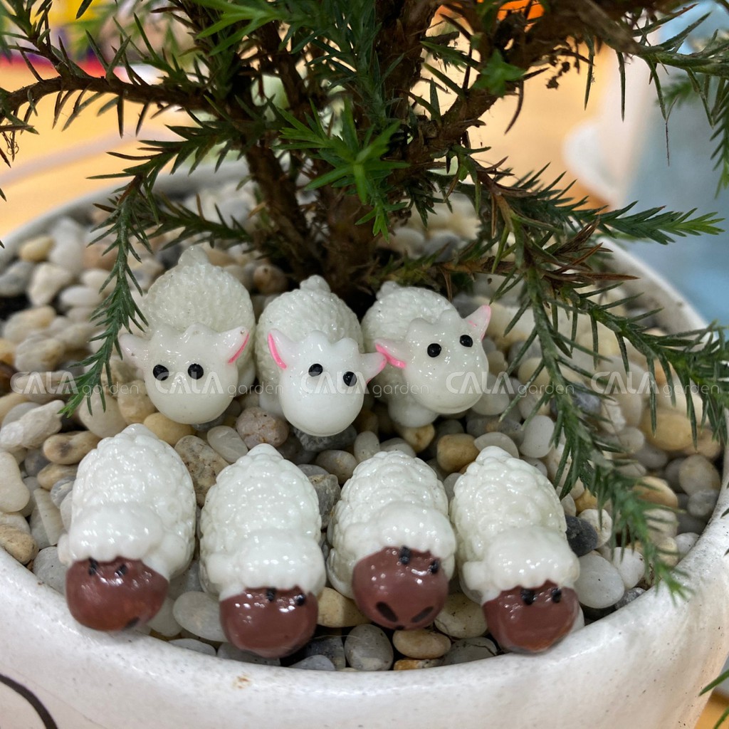 [Giá Siêu Rẻ] Chú Cừu Nhỏ Dolly- Phụ kiện trang trí cho cây xanh để bàn làm việc, mô hình trang trí cho bể cá, tiểu cảnh